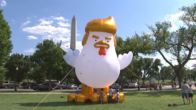 Giant inflatable chicken